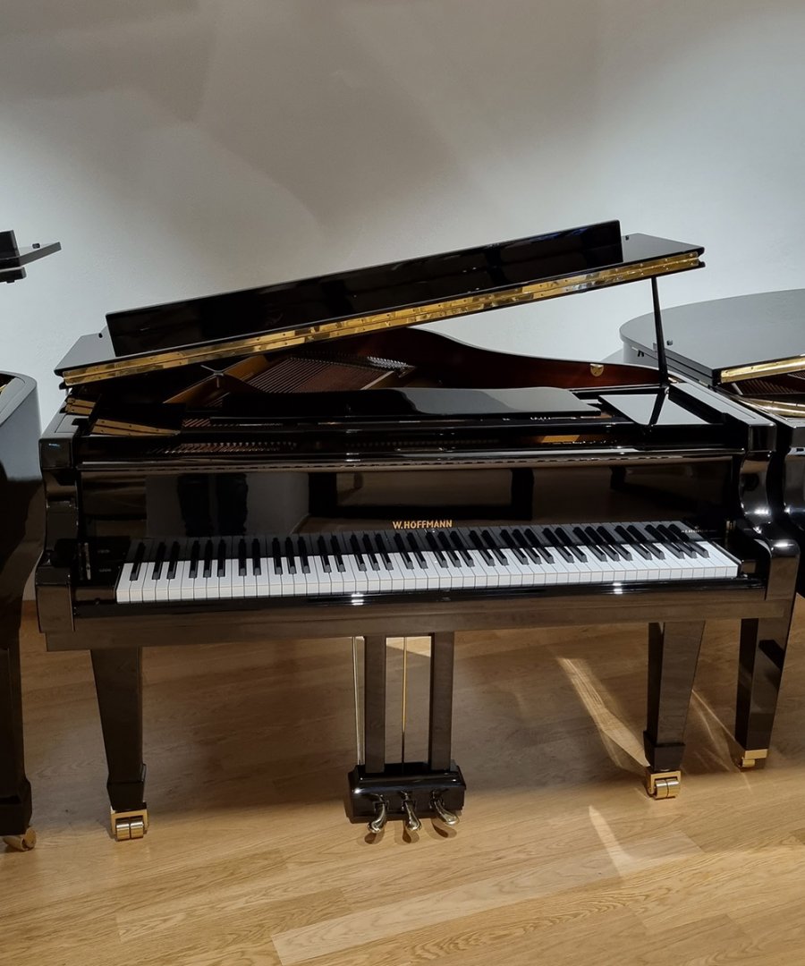 W.Hoffmann V-158 von 2020 in Schwarz glänzend