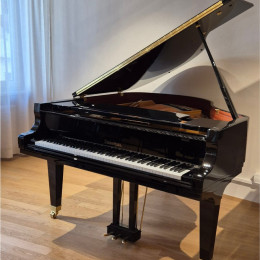 Zimmermann S-160 von 2022 in Schwarz glänzend