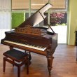 C. Bechstein B von 1880 in Palisander matt