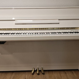 Yamaha b1 SG2 von 2012 in Weiß glänzend