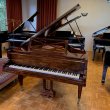 Pleyel 165 von 1930 in Holz glänzend