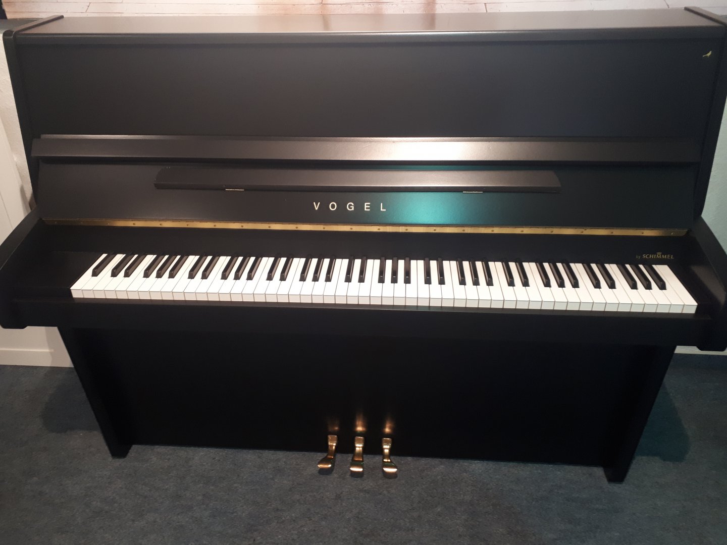 Schimmel Vogel 116 von 2004 in Schwarz matt