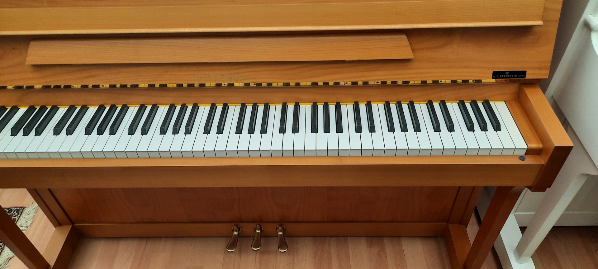 Euterpe 120 von 2003 in Kirschbaum matt