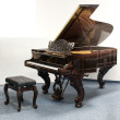 Steinway & Sons B-211 von 1873 in Palisander glänzend