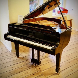 Wilh. Steinberg Performance 178 von 2021 in Schwarz glänzend