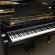 C. Bechstein B - 88 von 1996 in Schwarz glänzend