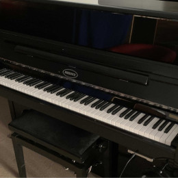 Berdux 115 Silent von 2019 in Schwarz glänzend